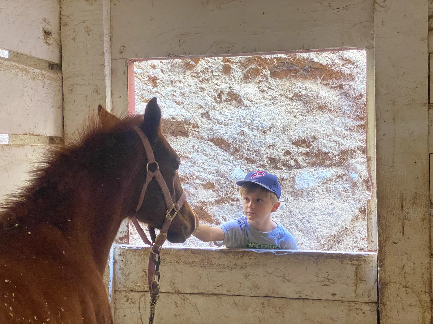Horse in an indoor barn stall with a visitor at the open window