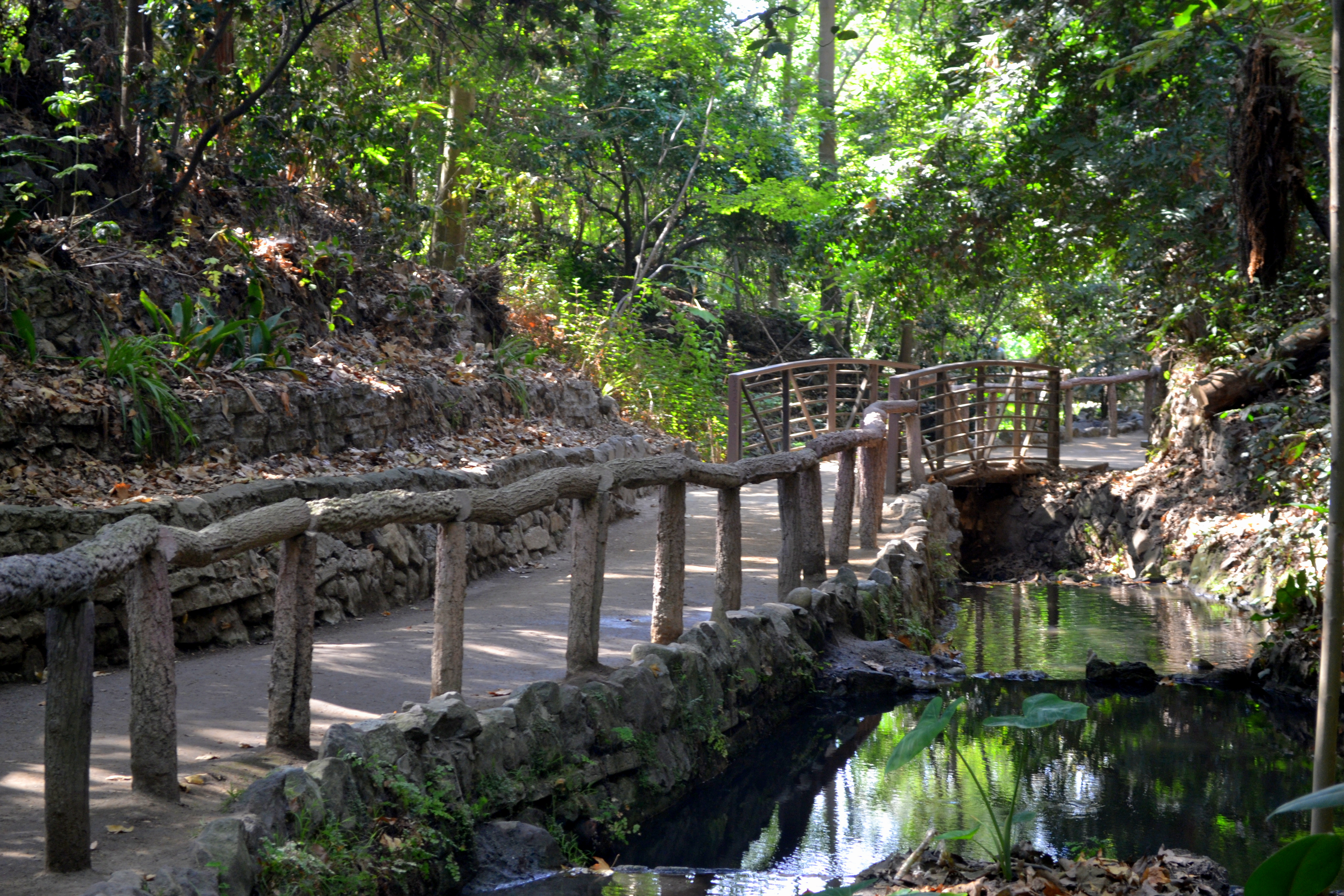 Fern Dell Nature Trail with bridge over stream