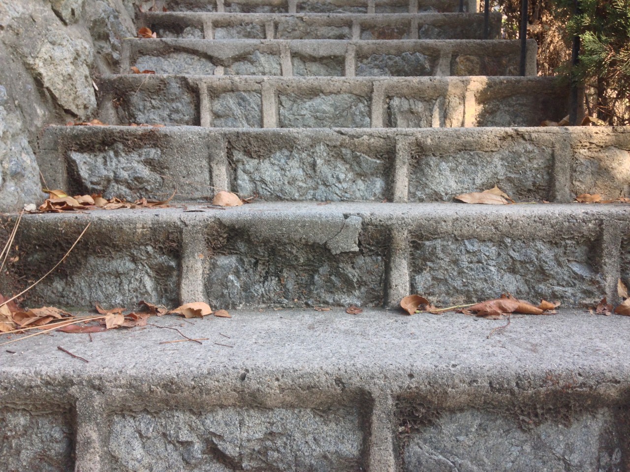 View from the Hollywoodland Stairs