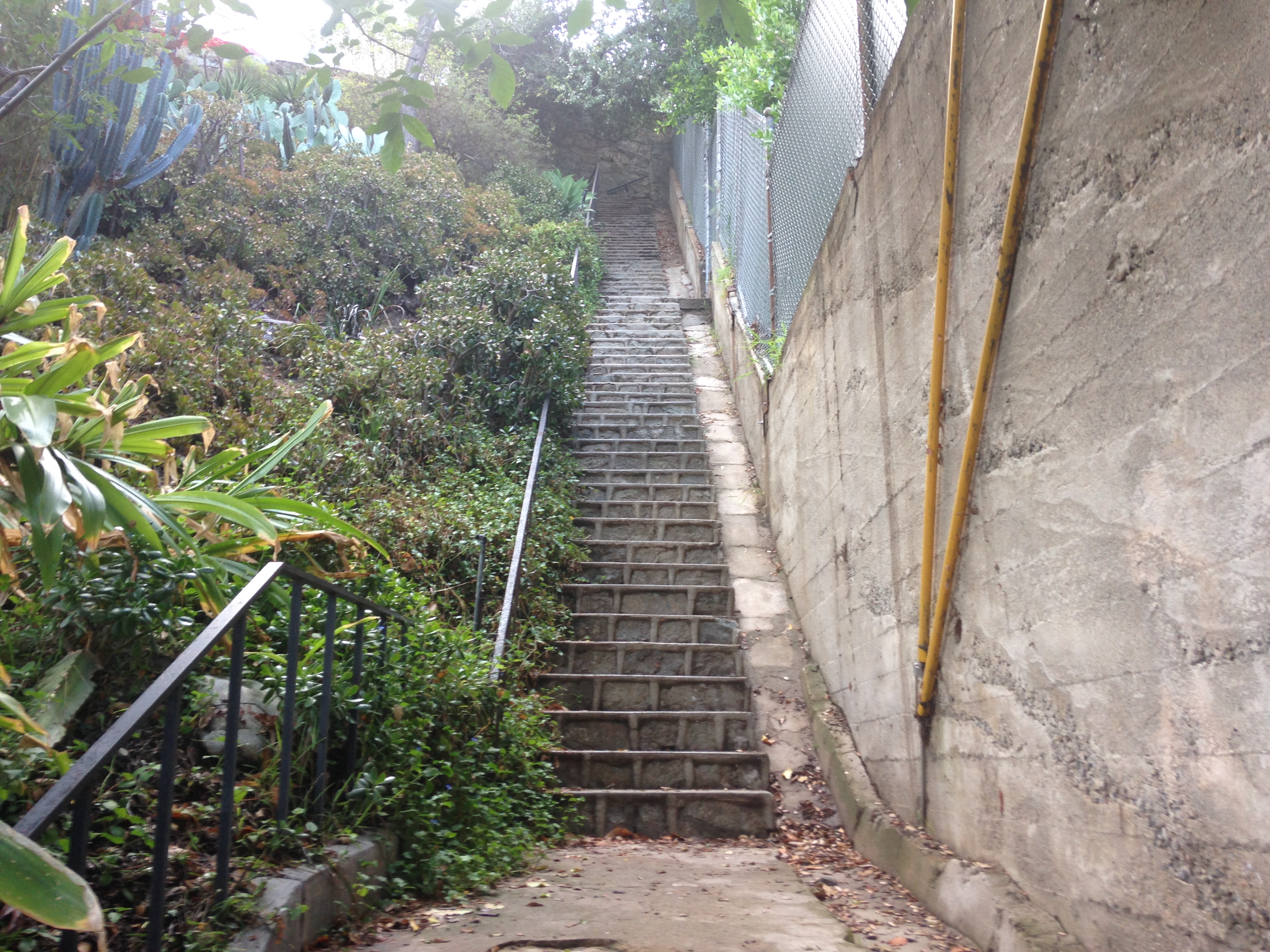 The secret Hollywoodland public stairs climbing the hillside in Beachwood Canyon