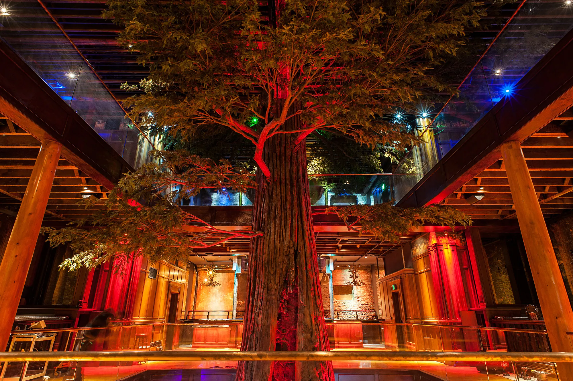 Clifton's giant fake redwood tree with colorful lighting