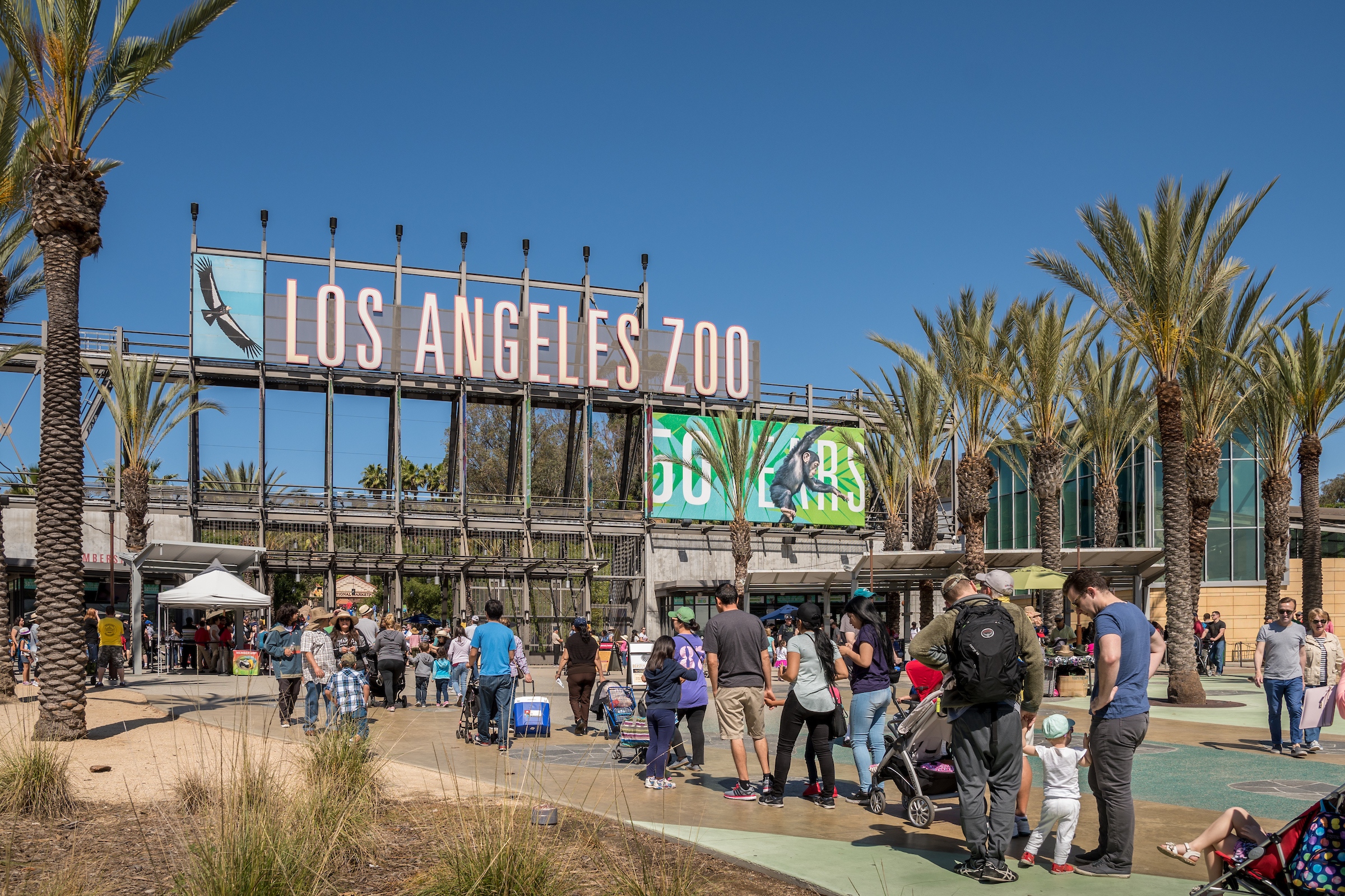 Los Angeles Zoo entrance in Griffith Park with palm trees and crowds