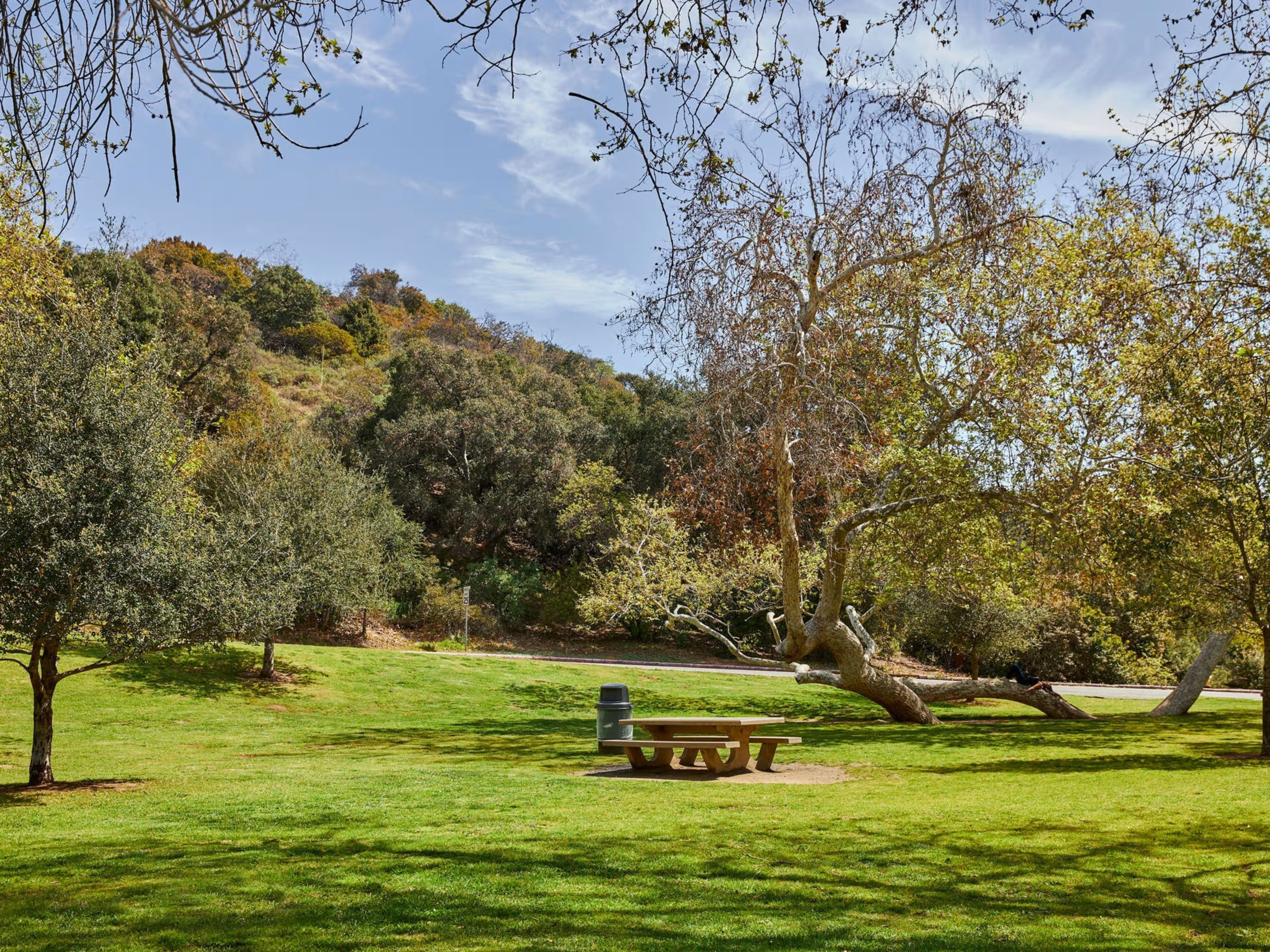 Mineral Wells picnic area in Griffith Park - one of many shaded picnic spots in the park