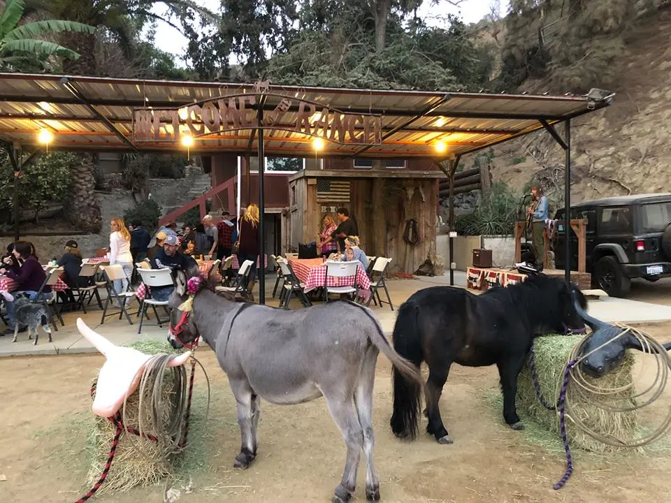 Private event at Sunset Ranch Hollywood with catered dinner, live music, and horses under string lights