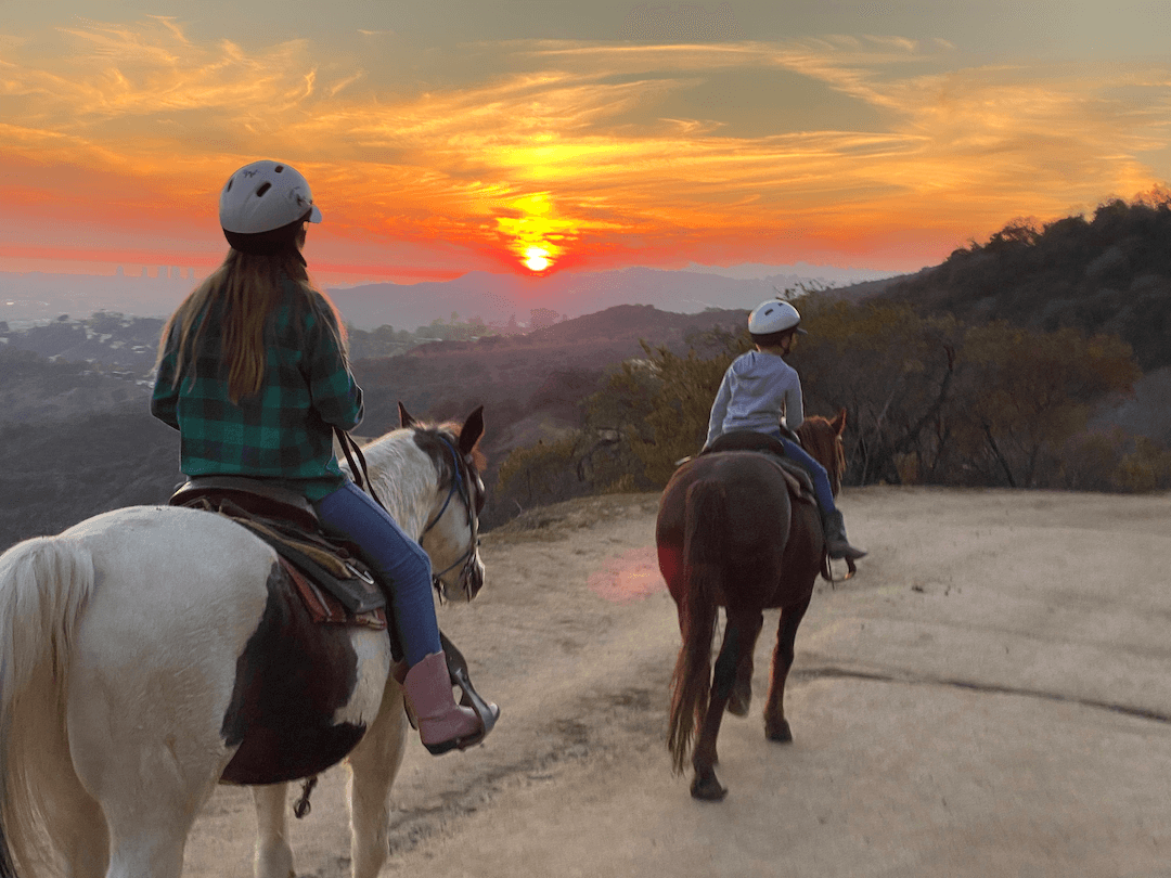 Beginners' Guide To Endurance Riding 